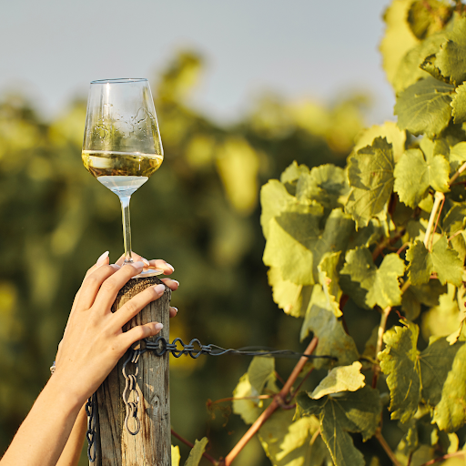 best summer white wines-Grüner Veltliner