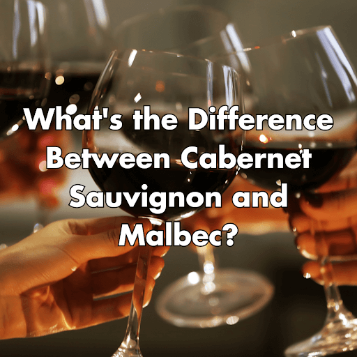 cabernet sauvignon vs malbec